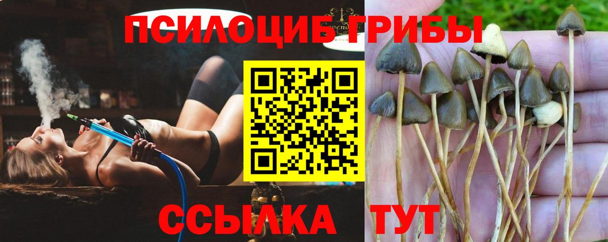 Минусинск  Галлюциногенные грибы MAGIC MUSHROOMS  Вход с VPN  Галлюциногенные грибы Cubensis 