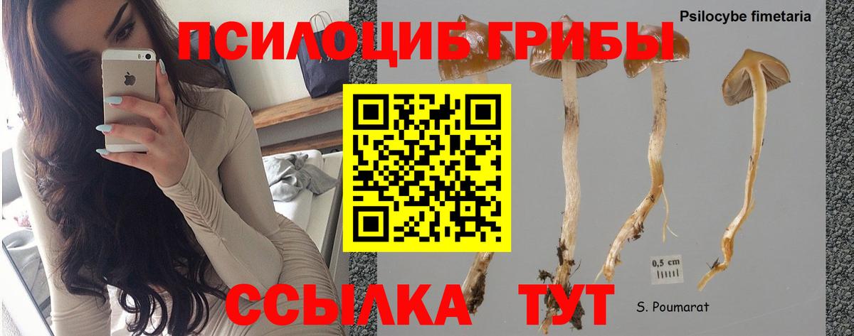 Галлюциногенные грибы MAGIC MUSHROOMS Минусинск